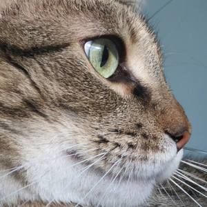 Meet your Posher, Lindsey